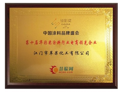 涂料行业电商领先企业