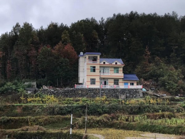 农村建房热潮，漂亮别墅式的小洋房到处可见