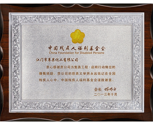 中国残疾人福利基金会感谢牌