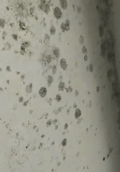阳台漆.gif