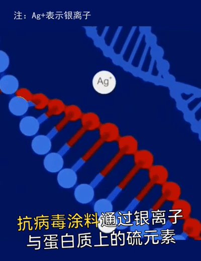 抗病毒原理.gif