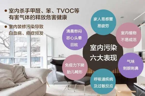 抗病毒健康净味儿童漆
